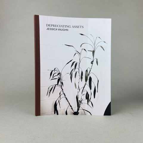 Depreciating Assets by Jessica Vaughn