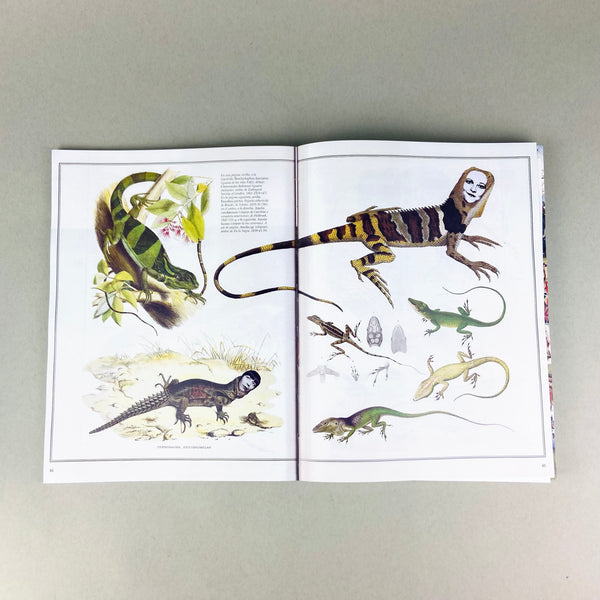 Depreciating Assets by Jessica Vaughn