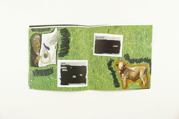 Astrology Poetry by Julia Falkner