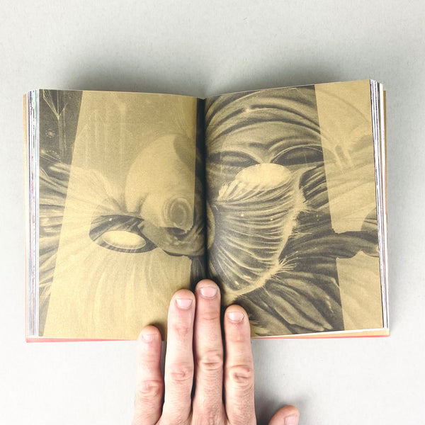 Eat a Chili by Wei Weng