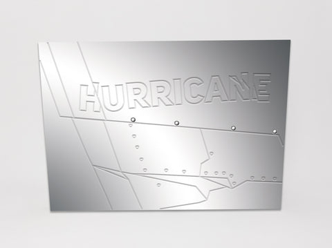 HURRICANE by Barry Fellman