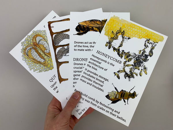 Bee Zine by Angela Roell, They Keep Bees, with art by Brie Cosman