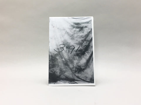 3917 by Celia Shaheen