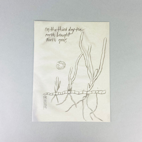 Thalassia by Michele Oka Doner