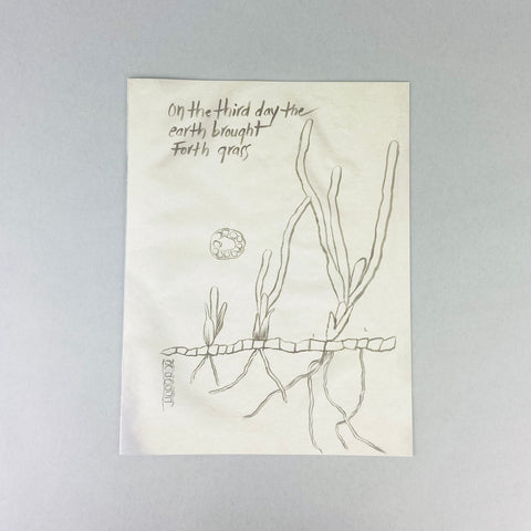 Thalassia by Michele Oka Doner