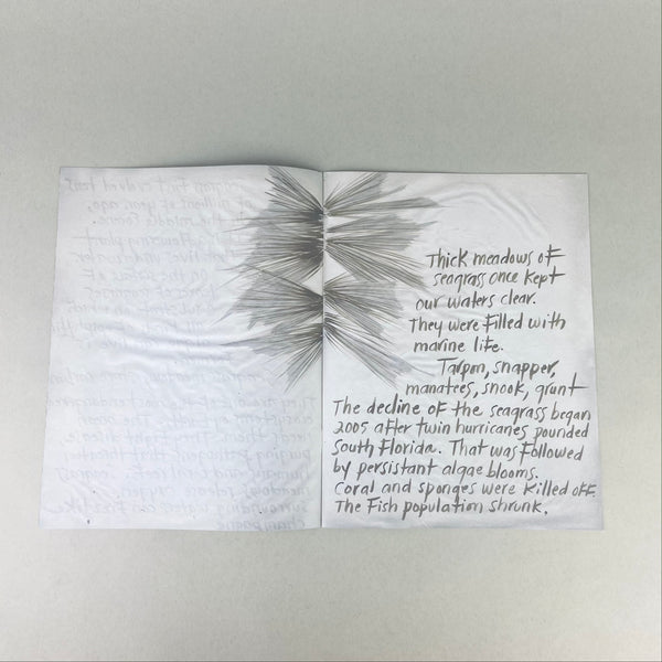 Thalassia by Michele Oka Doner