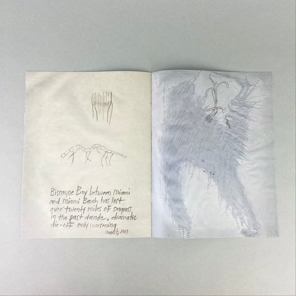 Thalassia by Michele Oka Doner