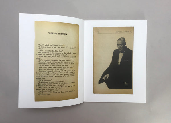 Ed Wood's Sleaze Paperbacks by Michael Delay and Johan Kugelberg