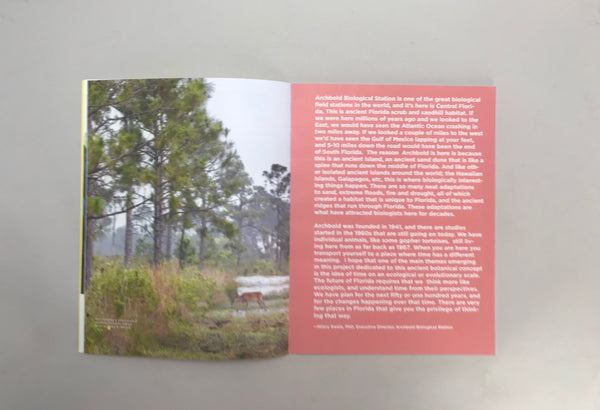 Robert Chambers- Serpens