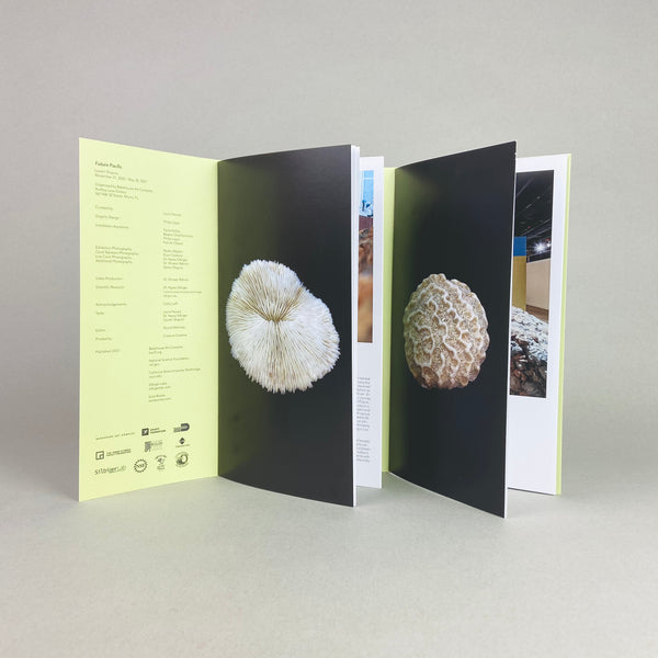 Future Pacific by Lauren Shapiro