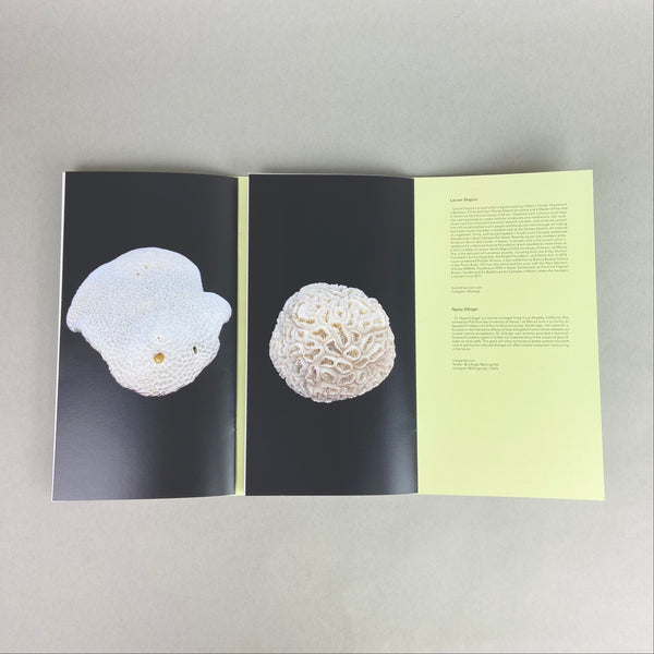 Future Pacific by Lauren Shapiro