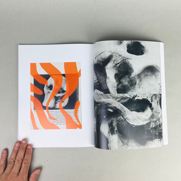 Stripes by Sarah Crowner