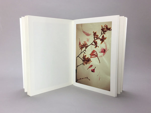 AFTER WAKE by Aaron MCelroy