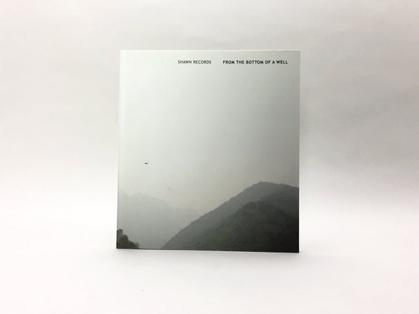 From the Bottom of a Wall by Shawn Records