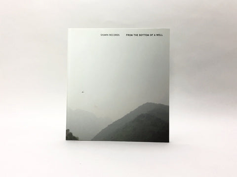 From the Bottom of a Wall by Shawn Records