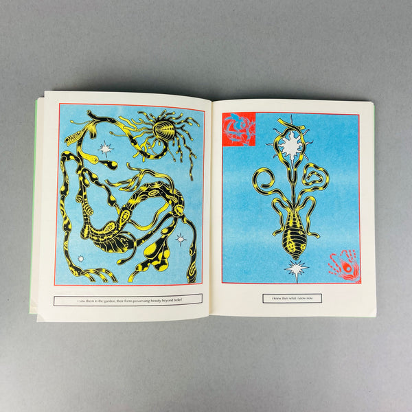 Moth Among Butterfly