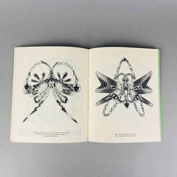 Moth Among Butterfly