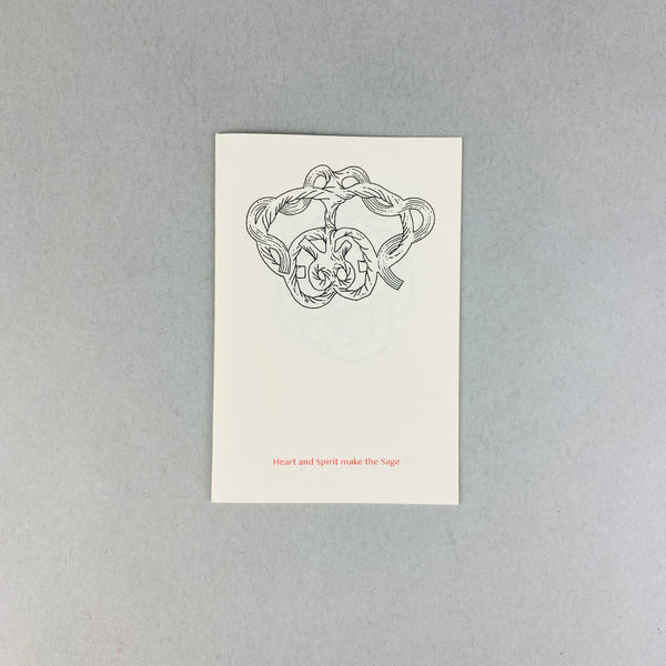 Moth Among Butterfly