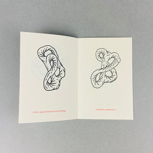 Moth Among Butterfly