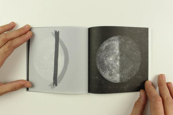 Line Of Sight by Ingrid Schindall