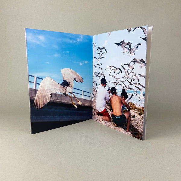 Dear Summer by Alfonso Duran