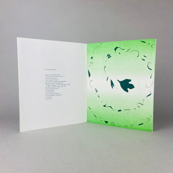 A Moth Exits by Alicia Nauta and Hannah Pax-Enkel