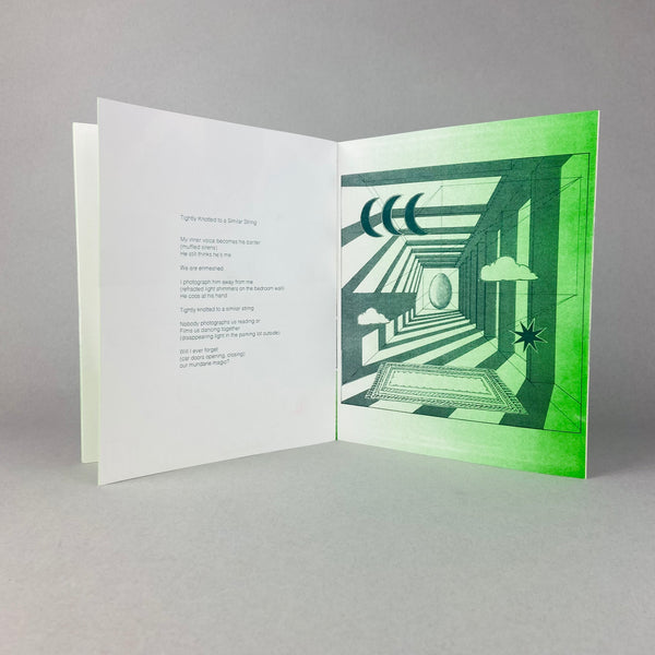 A Moth Exits by Alicia Nauta and Hannah Pax-Enkel