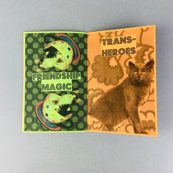 The War Continues by Homocats