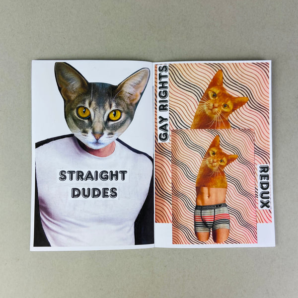 Modern Problems by Homocats