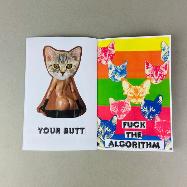 Modern Problems by Homocats