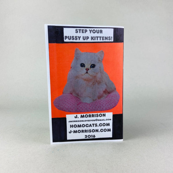 Modern Problems by Homocats