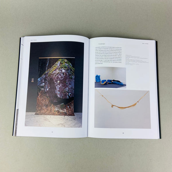 Norsk Kunstårbok 2021 by Susanne Christensen