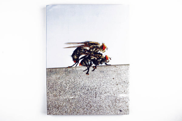 I Heart Transylvania by Jason Nocito