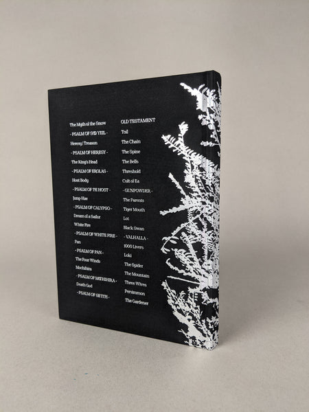 Hunters Follow Harpy Shadows by Rin Kim