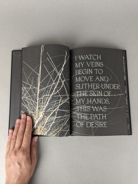 Hunters Follow Harpy Shadows by Rin Kim