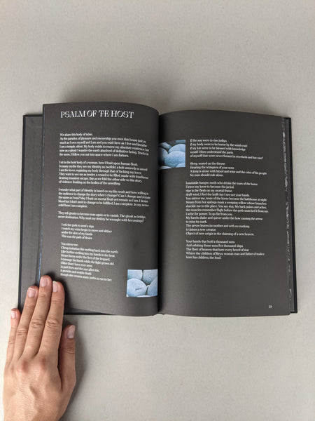 Hunters Follow Harpy Shadows by Rin Kim