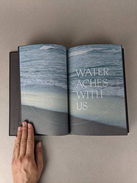 Hunters Follow Harpy Shadows by Rin Kim