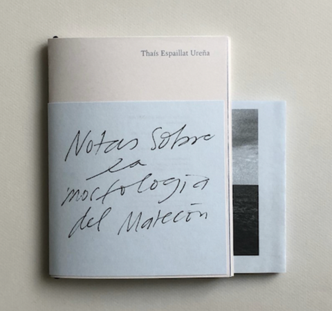 NOTAS SOBRE LA MORFOLOGÍA DEL MALECÓN by THAÍS ESPAILLAT