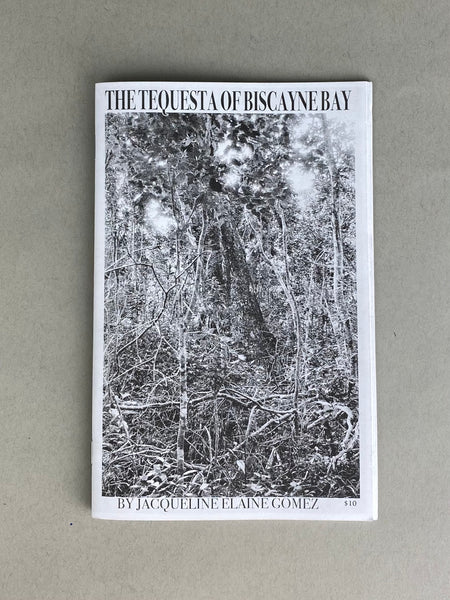 The Tequesta of Biscayne Bay by Jacqueline Elaine Gomez