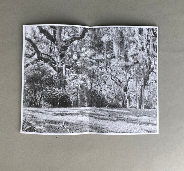 The Tequesta of Biscayne Bay by Jacqueline Elaine Gomez