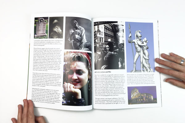 The Bearded Island / The Artist’s Lament by Urs Fischer & Darren Bader