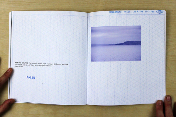 Seizure by Leila Leder Kremer