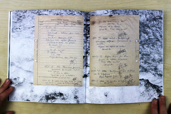 Seizure by Leila Leder Kremer