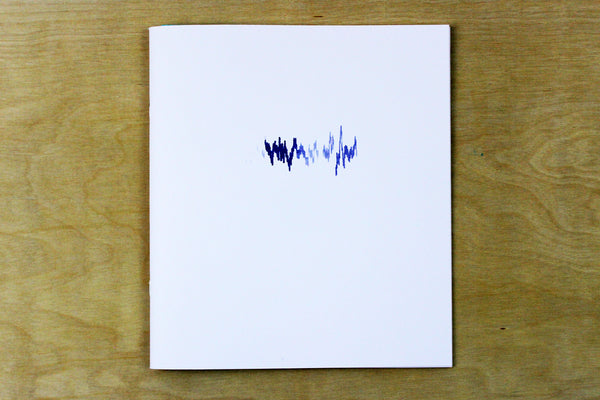 Seizure by Leila Leder Kremer