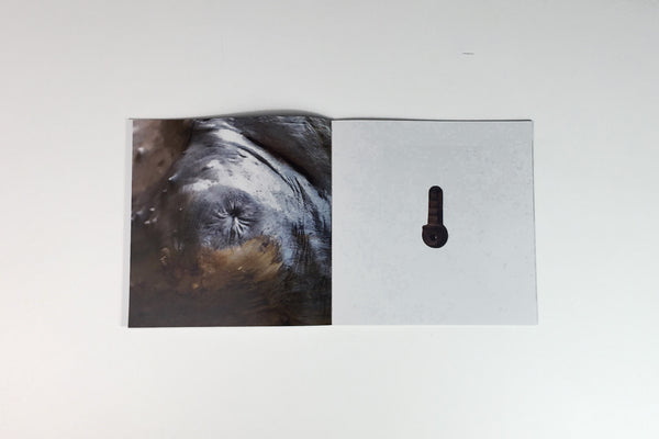 Obzine by Jim Williams